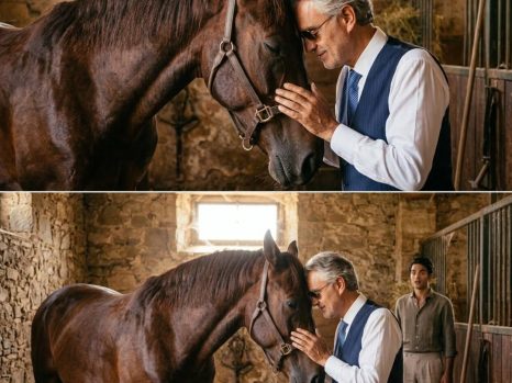 NO WHIPS, NO SHOUTING: The Quiet Miracle in Bocelli’s Stable