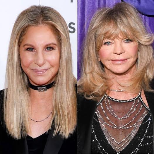 “Barbra Streisand Said Goldie Hawn Should Be ‘Silenced’ — Then Goldie Read the Words Live on Television”