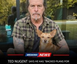 🐾❤️ Ted Nugent Publicly Endorses Campaign to Rescue 2,000 Beagles From Research Laboratory — A Powerful Call for Compassion That Is Touching Millions