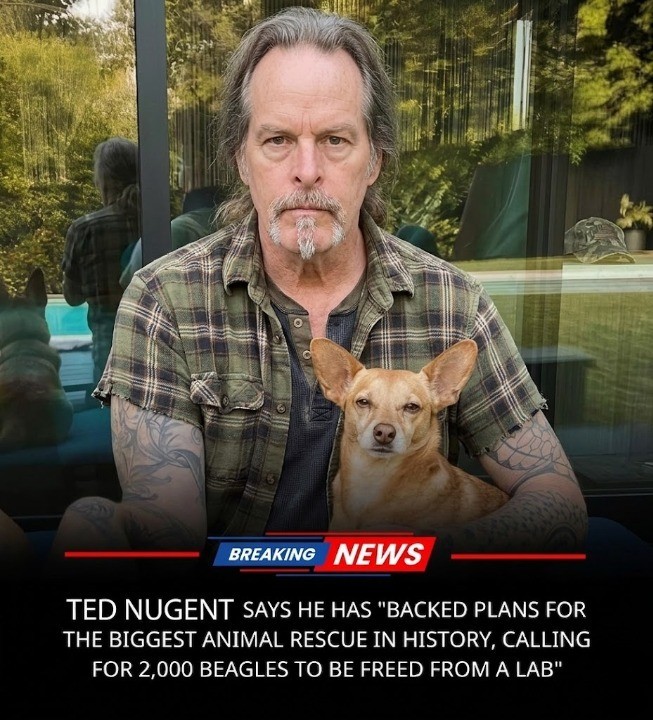 🐾❤️ Ted Nugent Publicly Endorses Campaign to Rescue 2,000 Beagles From Research Laboratory — A Powerful Call for Compassion That Is Touching Millions