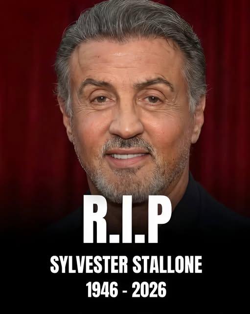FALSE ALARM SHOCKS FANS: Viral Rumor Claiming Sylvester Stallone Died in Tragic Accident Sparks Massive Online Confusion