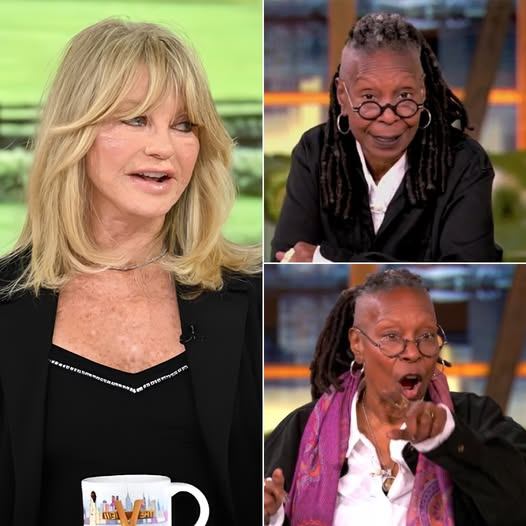 WHOOPI GOLDBERG Finally Said Out Loud What Hollywood Has Been Thinking About Goldie Hawn — And the Studio Fell Silent